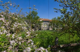 Продажба на имоти в с. Врачанци, област Добрич - изображение 2 
