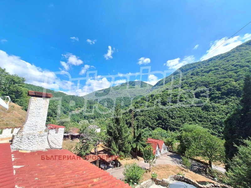 Til salg  Hus region Kyustendil , Pastra , 700 kvm | 57413885 - billede [3]