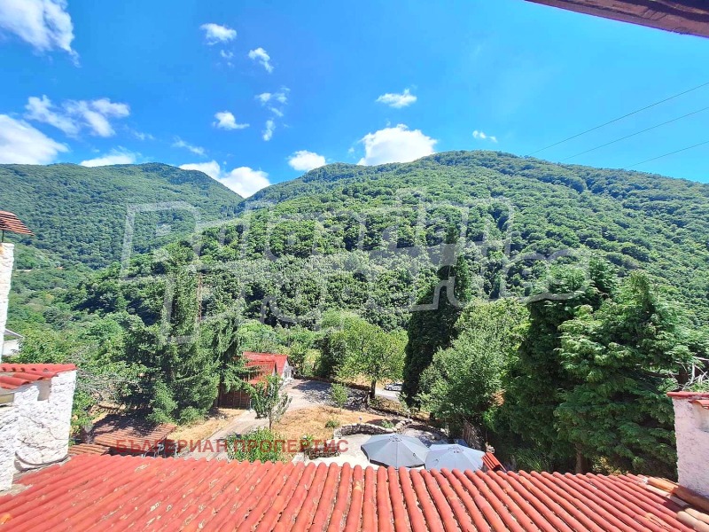 Til salg  Hus region Kyustendil , Pastra , 700 kvm | 57413885 - billede [8]