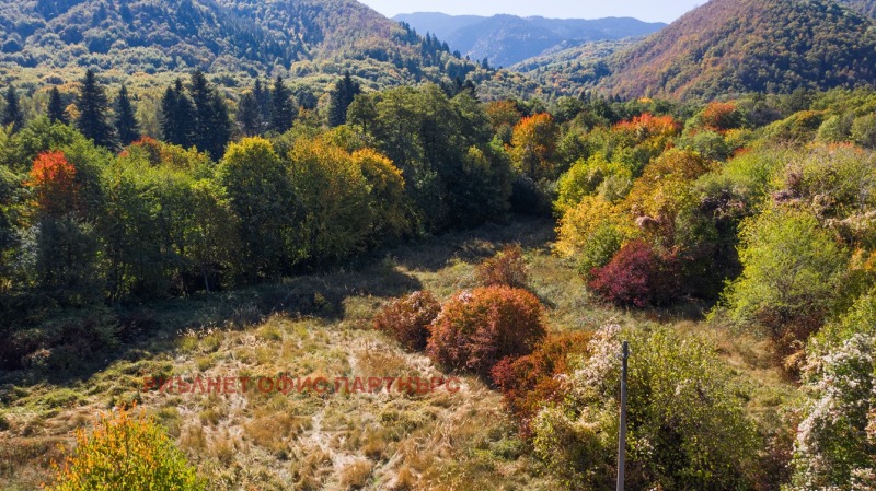 Zu verkaufen  Handlung region Sofia , Dolna banja , 20000 qm | 17786859 - Bild [6]