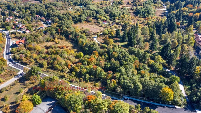 Na sprzedaż  Działka region Sofia , Dolna banja , 20000 mkw | 17786859 - obraz [10]