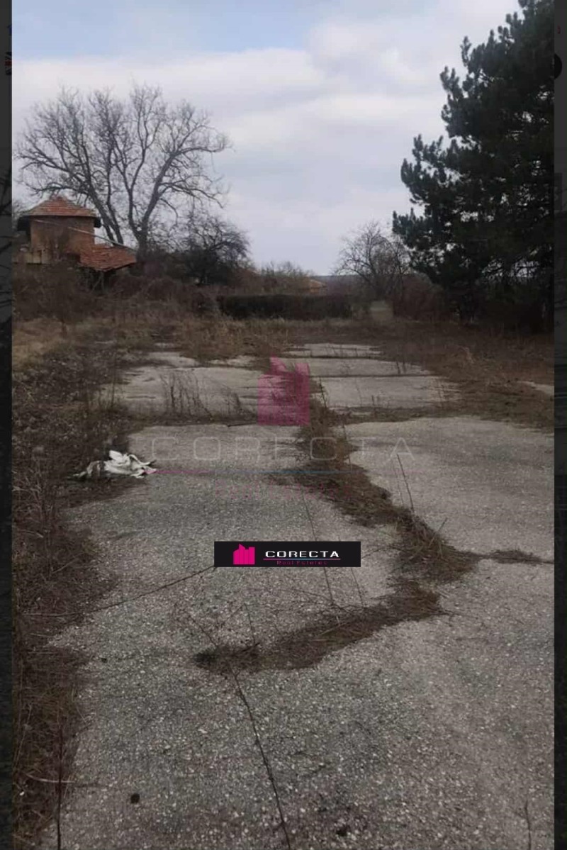 Продава БИЗНЕС ИМОТ, с. Пиргово, област Русе, снимка 7 - Други - 52329788