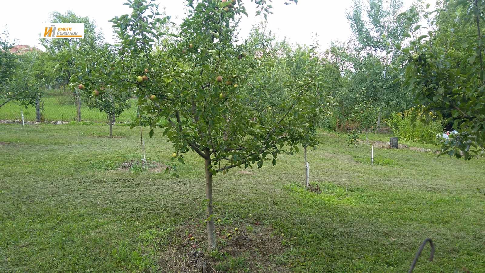 Продава ПАРЦЕЛ, с. Палици, област Велико Търново, снимка 2 - Парцели - 53675026