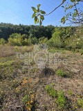 Продава ВИЛА, област Велико Търново, с. Буковец • 24500 € • 60734238 — Holmes.bg