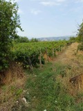 Продава ПАРЦЕЛ, гр. Сандански, област Благоевград, снимка 6
