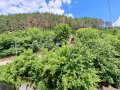 Продава 3-СТАЕН, област София, гр. Своге • 105000 € • 96109179 13