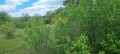 Продава КЪЩА, област Варна, с. Венелин • 22000 € • 68780372 — Holmes.bg