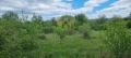 Продава КЪЩА, област Варна, с. Венелин • 22000 € • 68780372 — Holmes.bg
