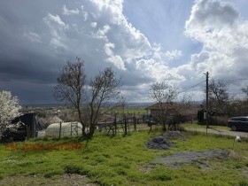 ����� ������� ����,���� ������, �. �������