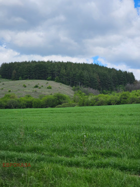 Cselekmény Gajtanevo, régió Sofia