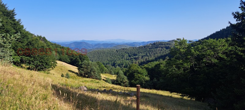 Продава ЗЕМЕДЕЛСКА ЗЕМЯ, с. Давидково, област Смолян, снимка 3 - Земеделска земя - 52781546