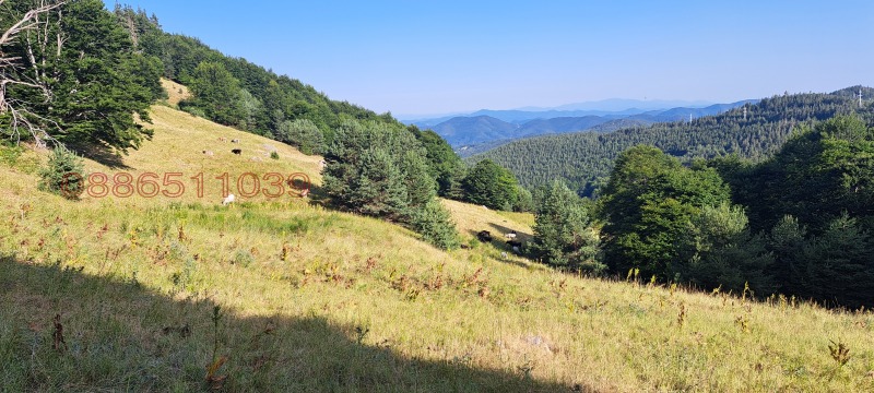 Продава ЗЕМЕДЕЛСКА ЗЕМЯ, с. Давидково, област Смолян