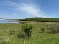 Продава ПАРЦЕЛ, област Варна, с. Дебелец • 36000 € • 11857496 — Holmes.bg