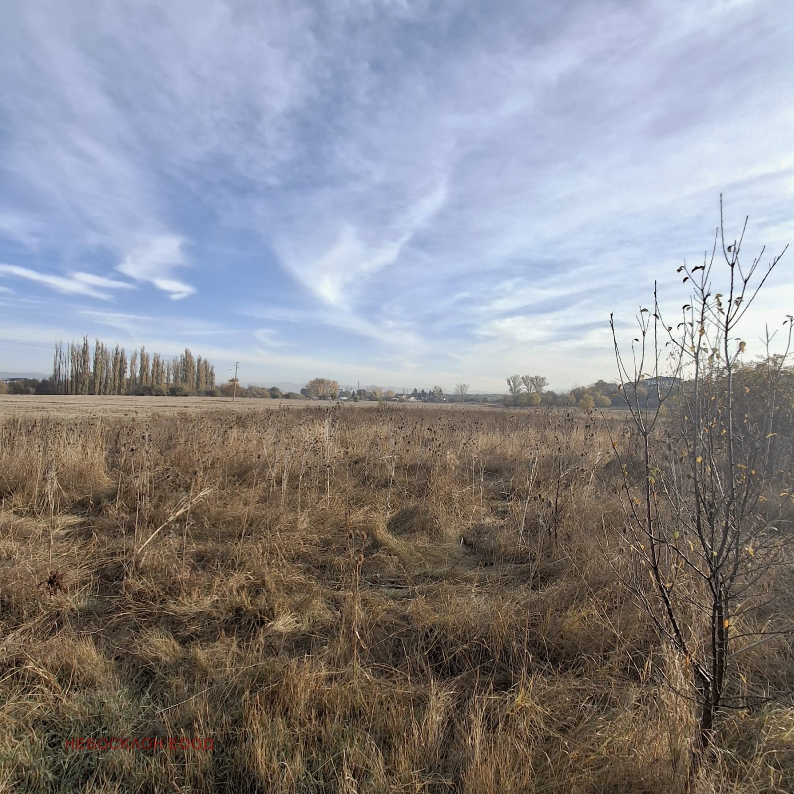 ������� ������ | Imot.bg � ����������� 7