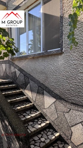 ������ ������� ����