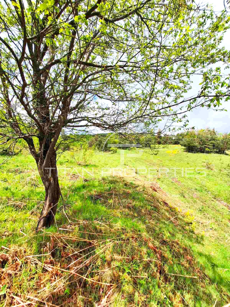 Zu verkaufen  Handlung region Plowdiw , Asenowgrad , 4700 qm | 14055048 - Bild [4]