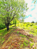 Продава ПАРЦЕЛ, област Пловдив, гр. Асеновград • 111000 € • 16640139 — Holmes.bg