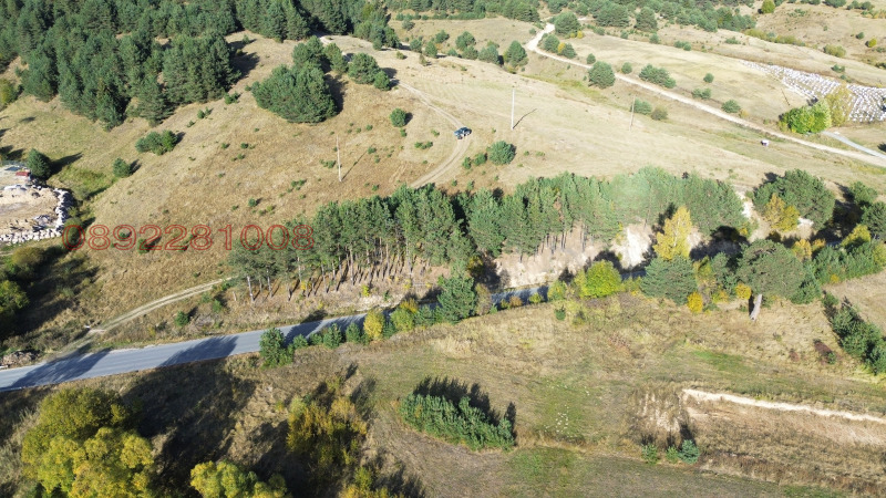 Продава ЗЕМЕДЕЛСКА ЗЕМЯ, гр. Сърница, област Пазарджик, снимка 4 - Земеделска земя - 52784578