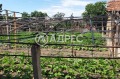 Продава КЪЩА, с. Куртово Конаре, област Пловдив, снимка 7