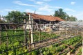 Продава  Къща област Пловдив , с. Куртово Конаре , 216 кв.м | 88865698 - изображение [8]