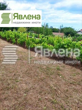 Hus Sjabla, region Dobrich 5