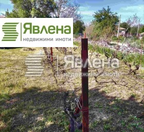 Hus Sjabla, region Dobrich 3