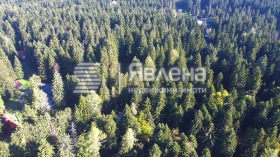 ������� ������ | Imot.bg � ����� ������ 7