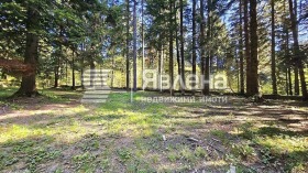 ������� ������ | Imot.bg � ����� ������ 12