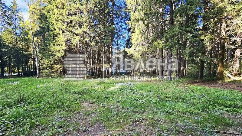 Продава ПАРЦЕЛ, к.к. Боровец, област София област, снимка 6 - Парцели - 54611450