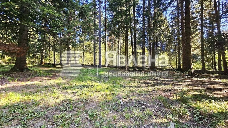 Продава ПАРЦЕЛ, к.к. Боровец, област София област, снимка 12 - Парцели - 54611450