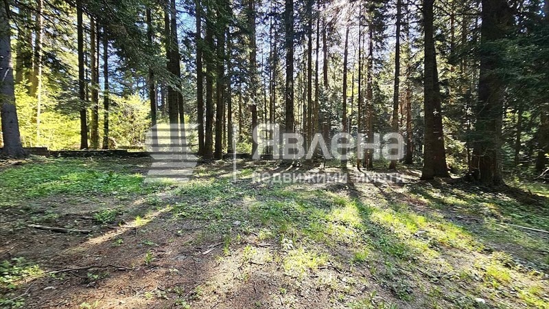 Продава ПАРЦЕЛ, к.к. Боровец, област София област, снимка 2 - Парцели - 54611450
