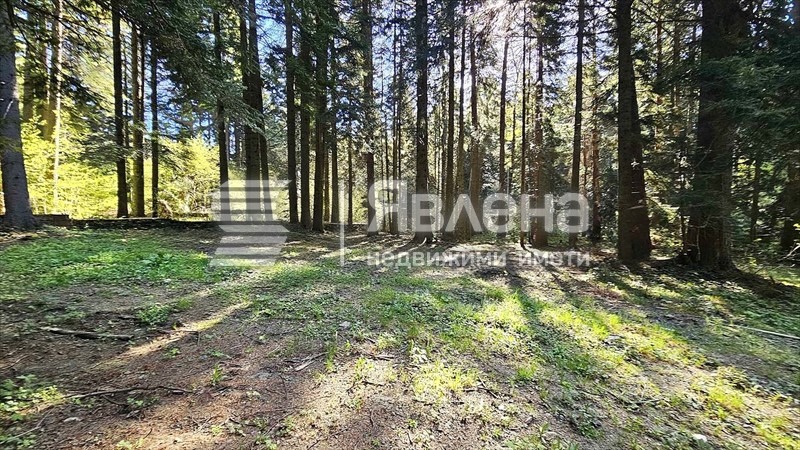 Продава ПАРЦЕЛ, к.к. Боровец, област София област, снимка 4 - Парцели - 54611450