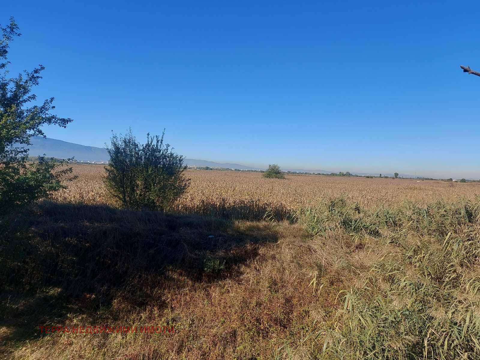 Продава ПАРЦЕЛ, гр. София, с. Чепинци, снимка 2 - Парцели - 52134438