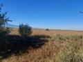 Продава ПАРЦЕЛ, гр. София, с. Чепинци, снимка 2