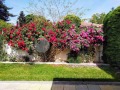 Продава КЪЩА, област Добрич, гр. Балчик • 245000 € • 63496233 — Holmes.bg