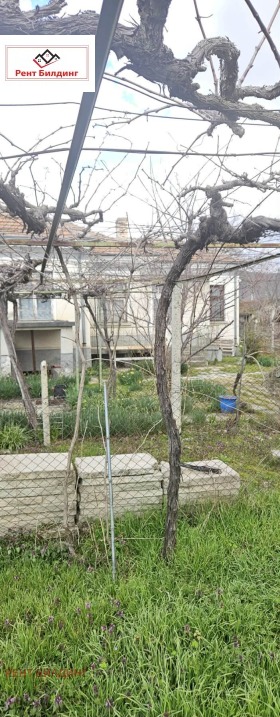 ����� ������� ����,�. ��������, ������ ������