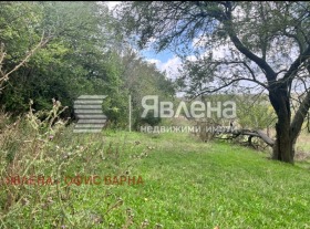 Плот Калиманци, регион Варна