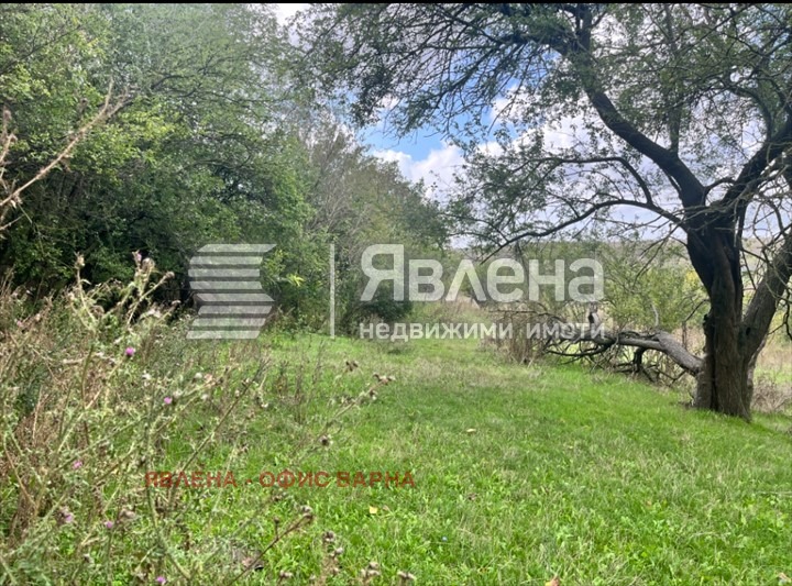 Satılık  Komplo bölge Varna , Kalimanci , 2660 metrekare | 49756450