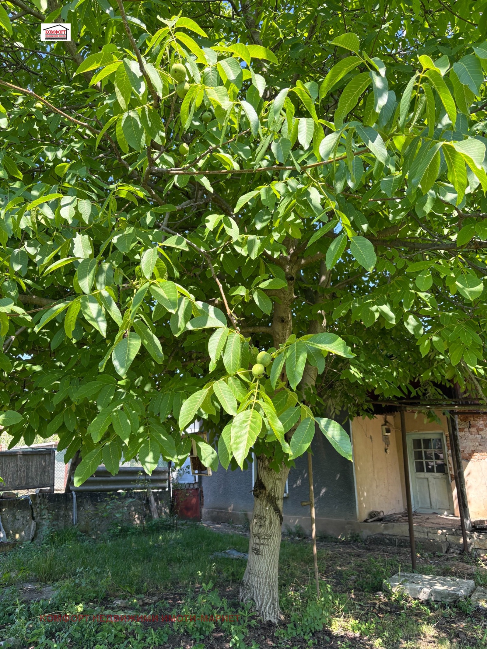 ������� ���� | Imot.bg � ����������� 8