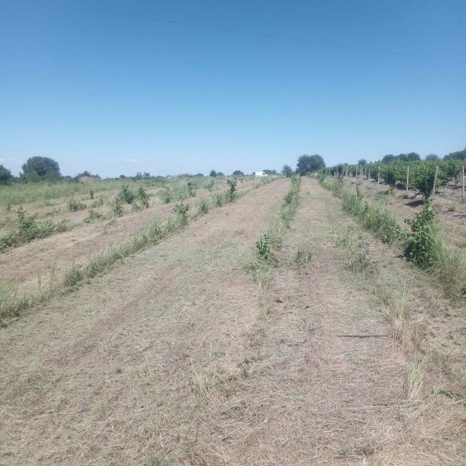 Продава ЗЕМЕДЕЛСКА ЗЕМЯ | Imot.bg — изображение 1