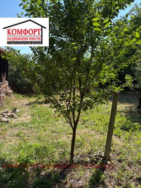 ������� ���� | Imot.bg � ����� ������ 12