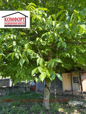 ������� ���� | Imot.bg � ����� ������ 8