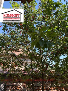 ������� ���� | Imot.bg � ����� ������ 3