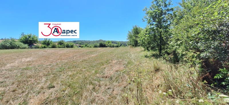 Продава  Парцел област Велико Търново , гр. Елена , 1990 кв.м | 30939574 - изображение [4]