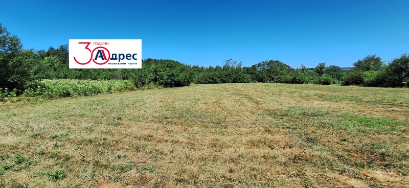 Продава  Парцел област Велико Търново , гр. Елена , 1990 кв.м | 30939574 - изображение [3]