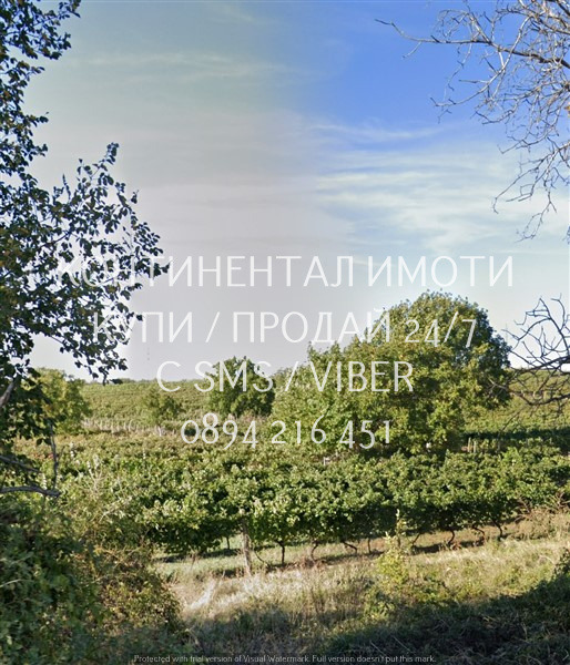 Продава ЗЕМЕДЕЛСКА ЗЕМЯ, с. Брестовица, област Пловдив, снимка 3 - Земеделска земя - 55457479