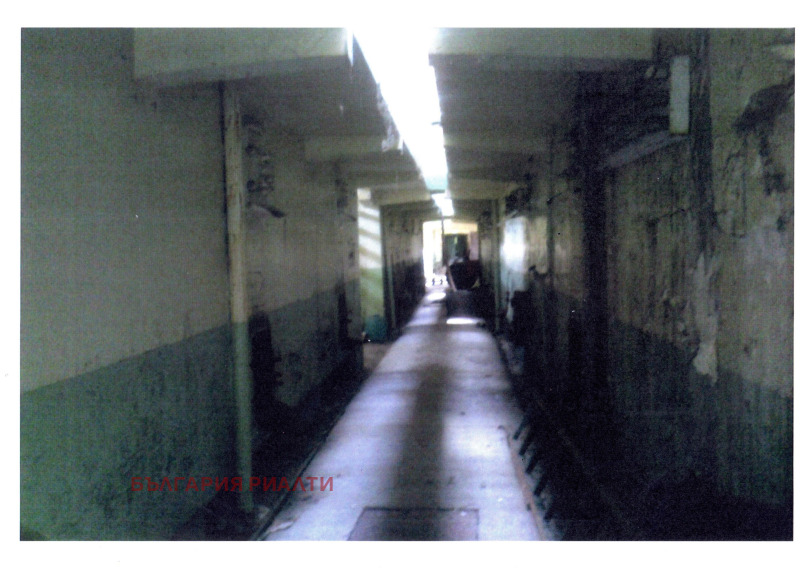 Продава БИЗНЕС ИМОТ, с. Комарево, област Плевен, снимка 5 - Други - 51505299