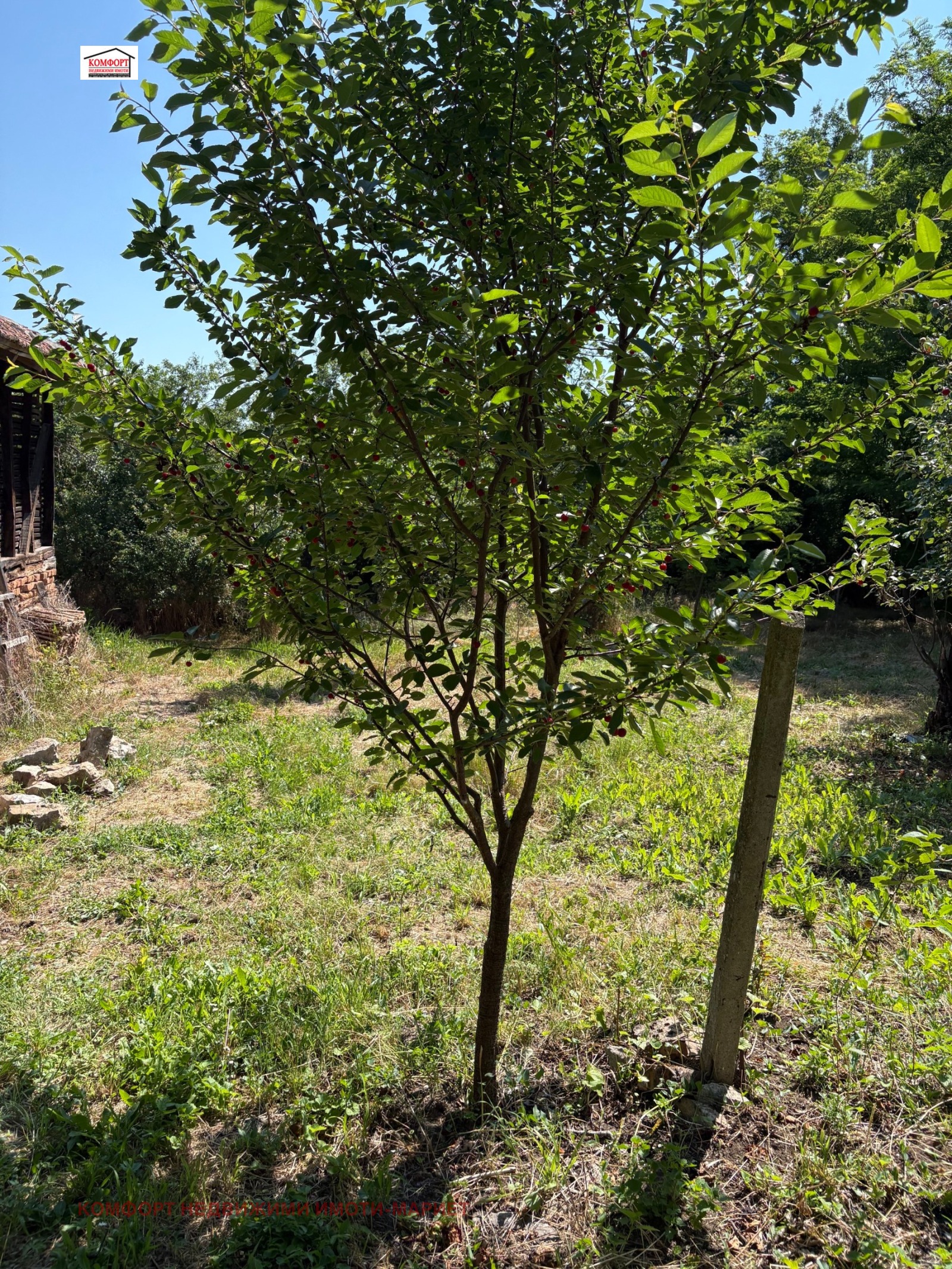 Продава КЪЩА, с. Ракита, област Плевен, снимка 12 - Къщи - 55280087