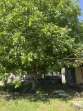 Продава КЪЩА, с. Ракита, област Плевен, снимка 14