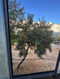 Продава  2-стаен град София , Сухата река , 60 кв.м | 24144639 - изображение [3]